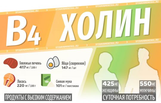 Для чего холин нужен организму и сколько?