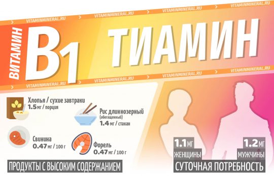 Зачем витамин В1 нужен организму?