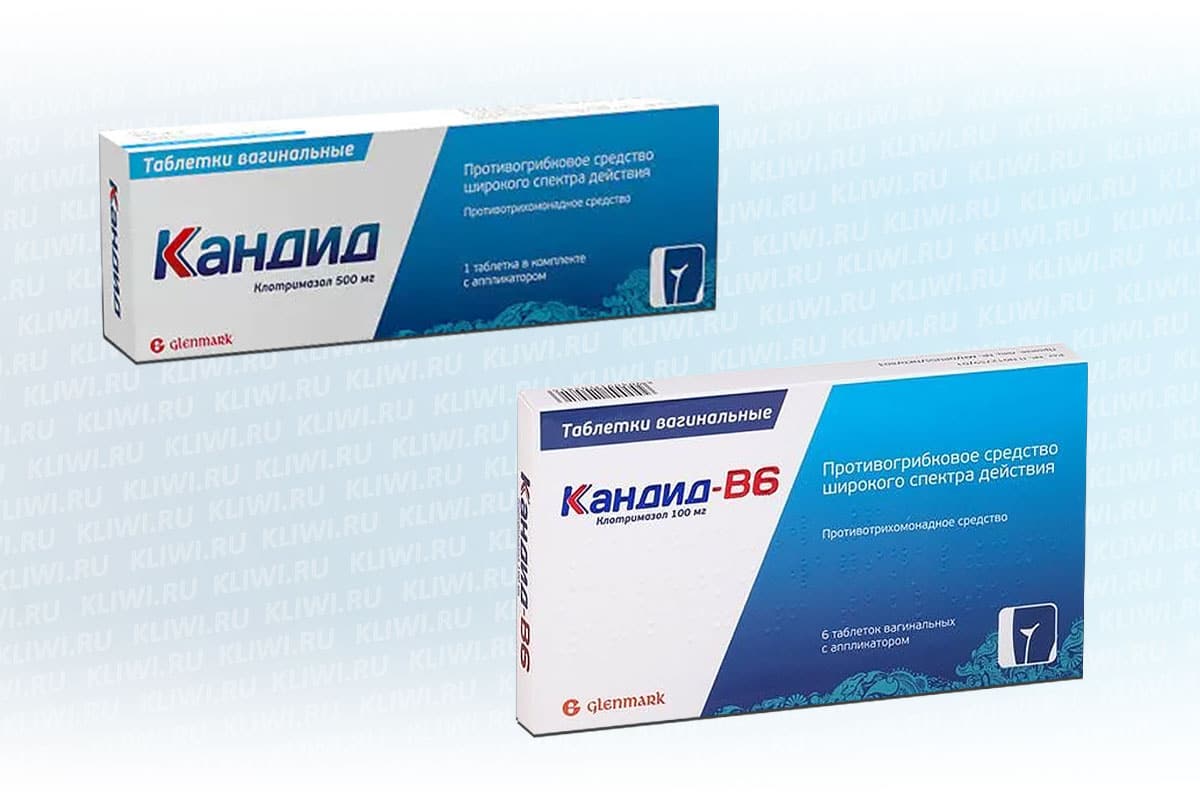 Кандид В6 и Кандид