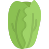 Пекинская капуста